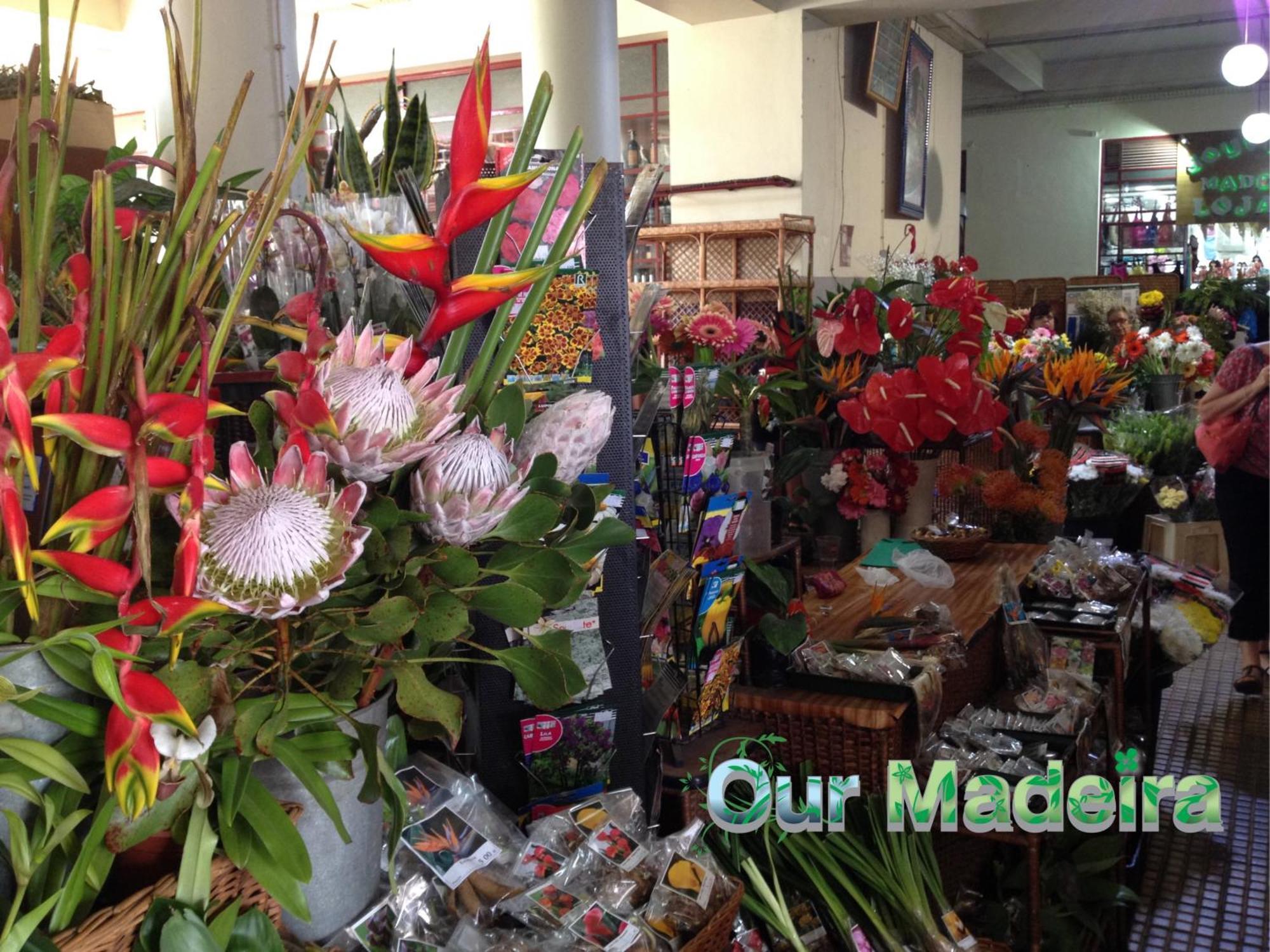 Ourmadeira - Vintage Garden Apartment Funchal  Ngoại thất bức ảnh