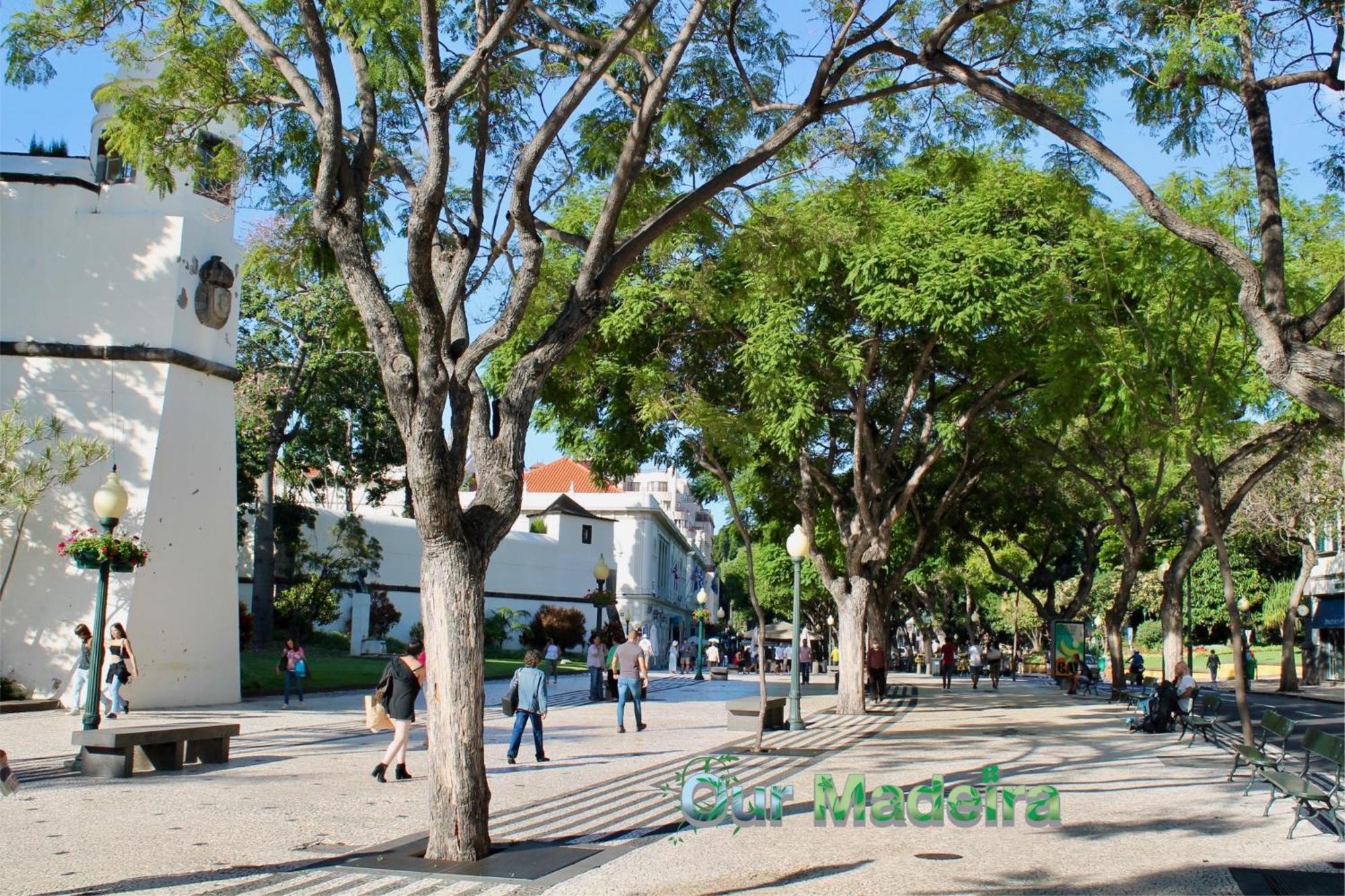 Ourmadeira - Vintage Garden Apartment Funchal  Ngoại thất bức ảnh