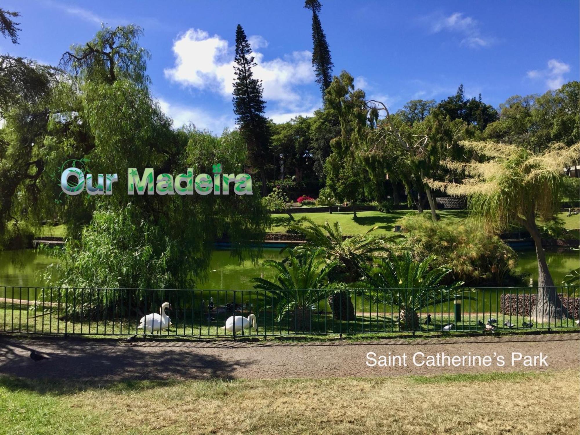Ourmadeira - Vintage Garden Apartment Funchal  Ngoại thất bức ảnh
